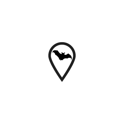 bats
